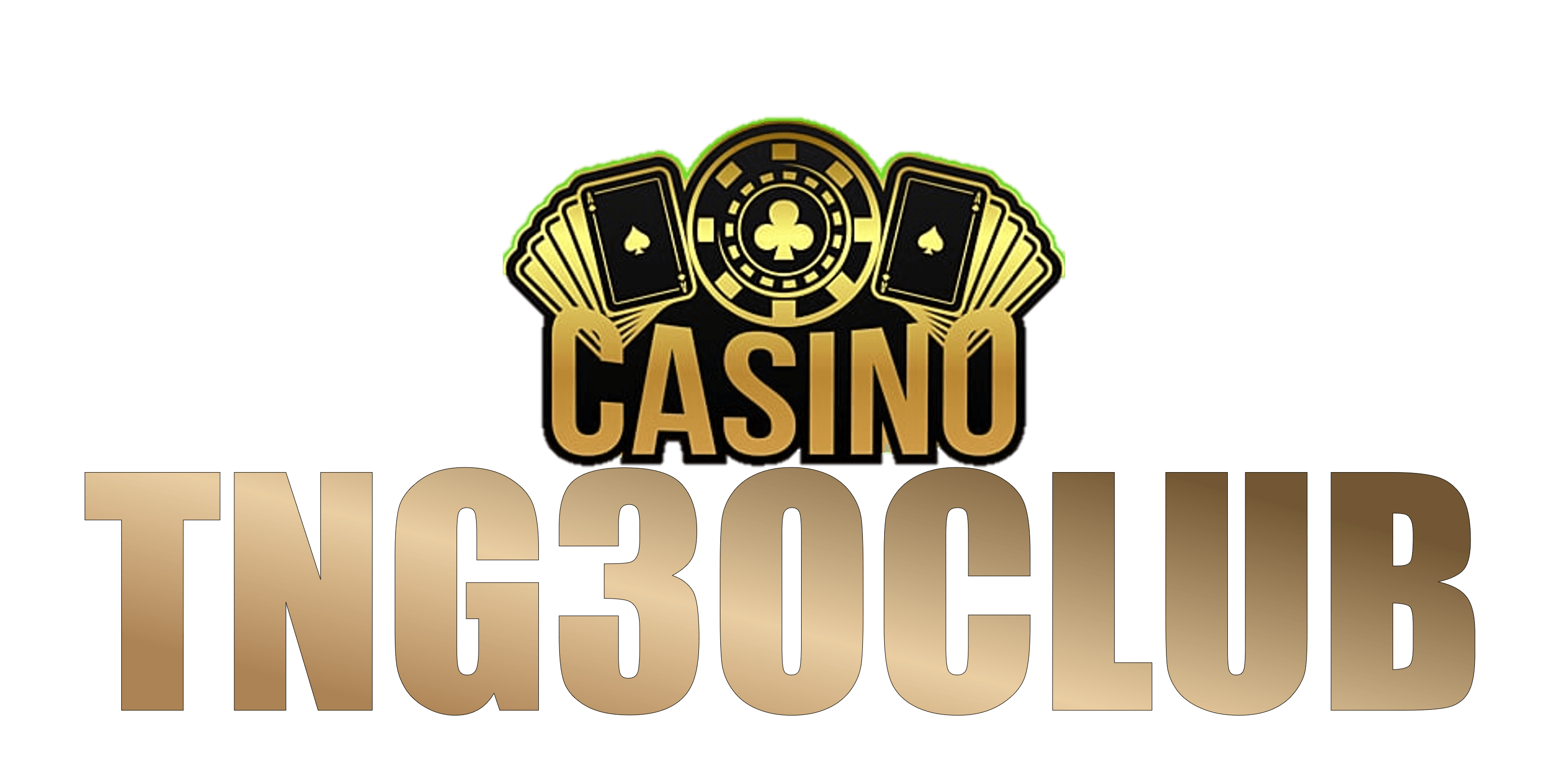 TNG30 logo